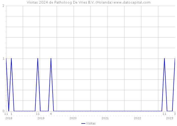 Visitas 2024 de Patholoog De Vries B.V. (Holanda) 