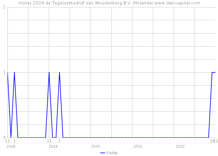 Visitas 2024 de Tegelzetbedrijf Van Woudenberg B.V. (Holanda) 