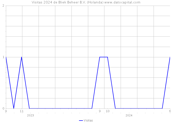 Visitas 2024 de Bliek Beheer B.V. (Holanda) 