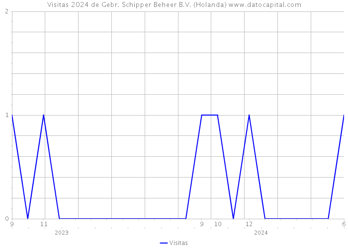 Visitas 2024 de Gebr. Schipper Beheer B.V. (Holanda) 