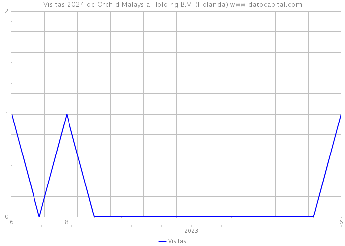 Visitas 2024 de Orchid Malaysia Holding B.V. (Holanda) 