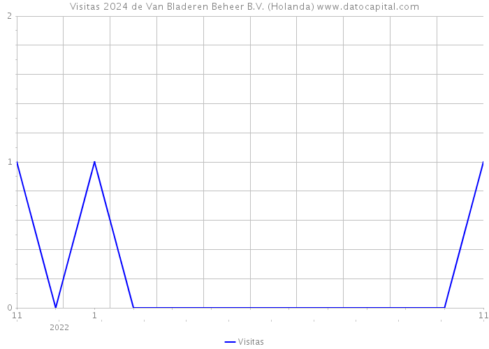 Visitas 2024 de Van Bladeren Beheer B.V. (Holanda) 