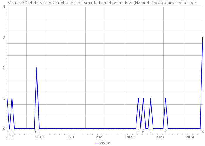 Visitas 2024 de Vraag Gerichte Arbeidsmarkt Bemiddeling B.V. (Holanda) 