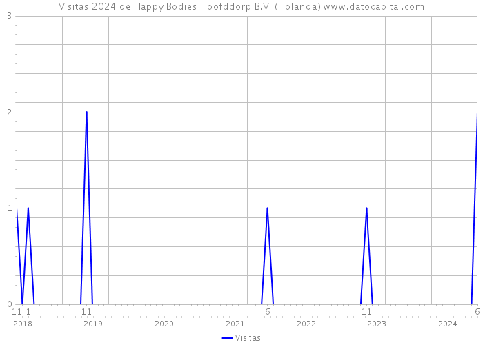 Visitas 2024 de Happy Bodies Hoofddorp B.V. (Holanda) 