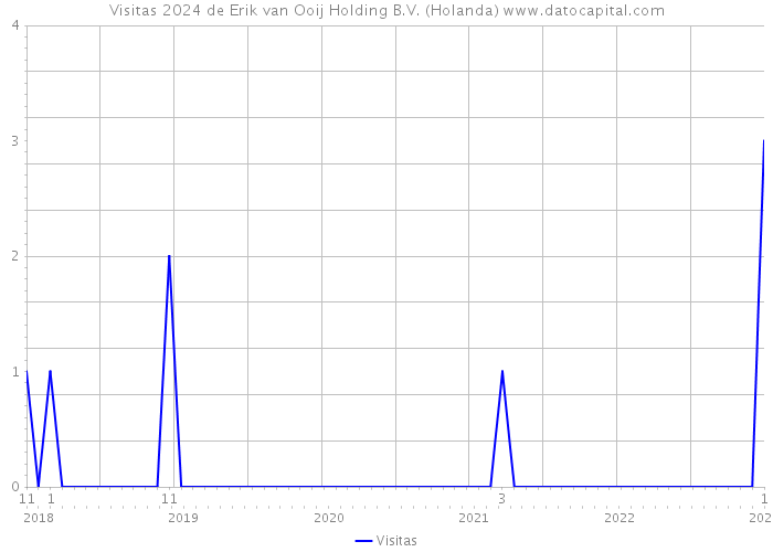 Visitas 2024 de Erik van Ooij Holding B.V. (Holanda) 