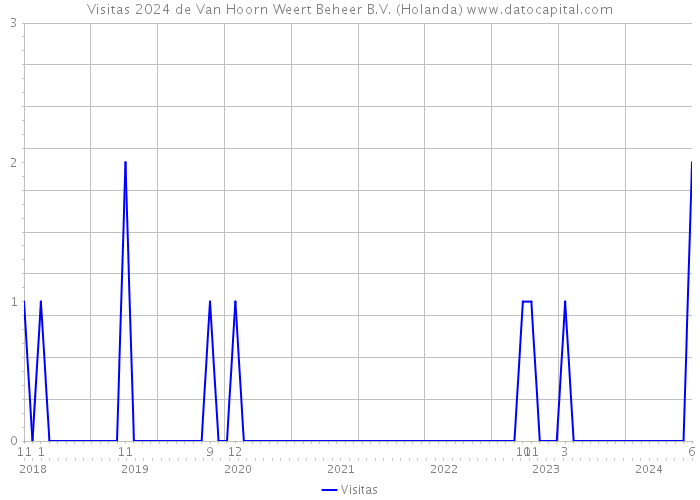 Visitas 2024 de Van Hoorn Weert Beheer B.V. (Holanda) 