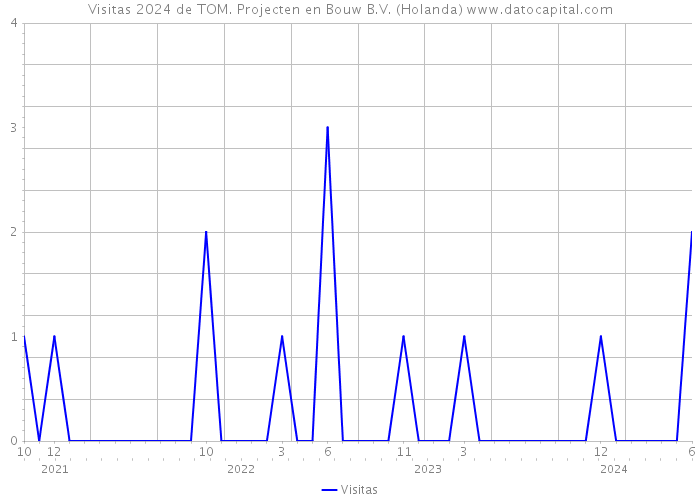 Visitas 2024 de TOM. Projecten en Bouw B.V. (Holanda) 