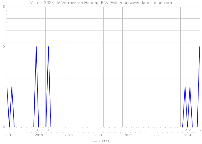 Visitas 2024 de Vermeeren Holding B.V. (Holanda) 
