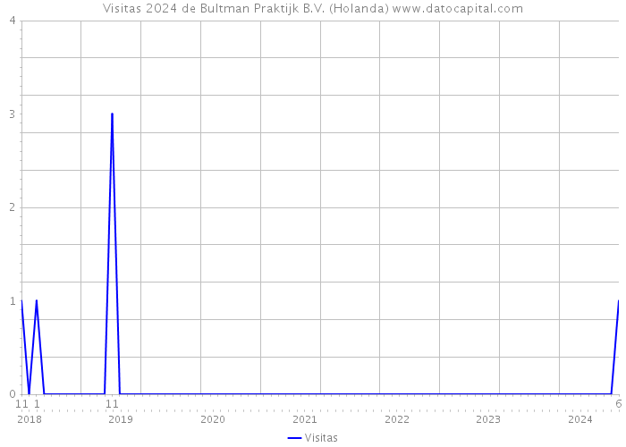 Visitas 2024 de Bultman Praktijk B.V. (Holanda) 