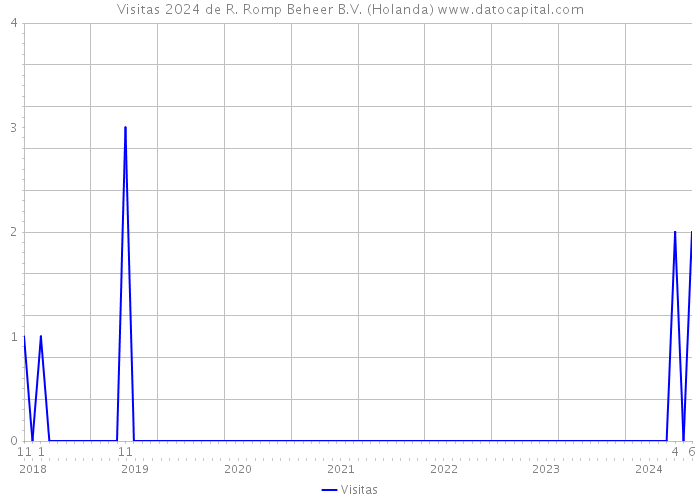 Visitas 2024 de R. Romp Beheer B.V. (Holanda) 