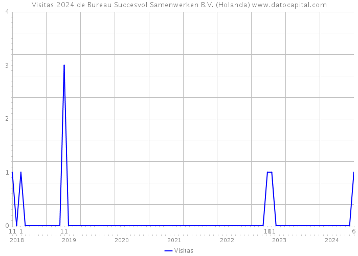 Visitas 2024 de Bureau Succesvol Samenwerken B.V. (Holanda) 