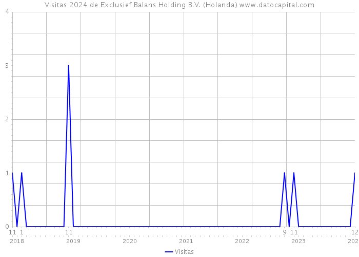 Visitas 2024 de Exclusief Balans Holding B.V. (Holanda) 