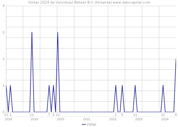 Visitas 2024 de Verschuur Beheer B.V. (Holanda) 