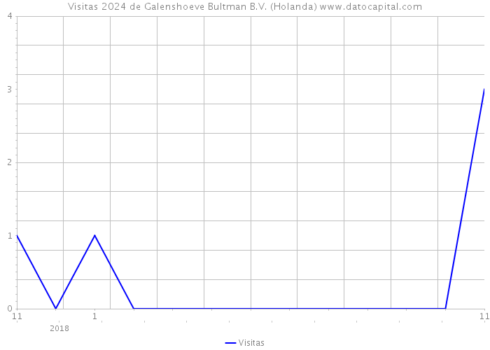 Visitas 2024 de Galenshoeve Bultman B.V. (Holanda) 