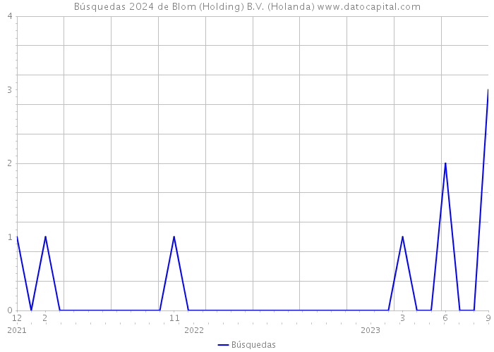 Búsquedas 2024 de Blom (Holding) B.V. (Holanda) 