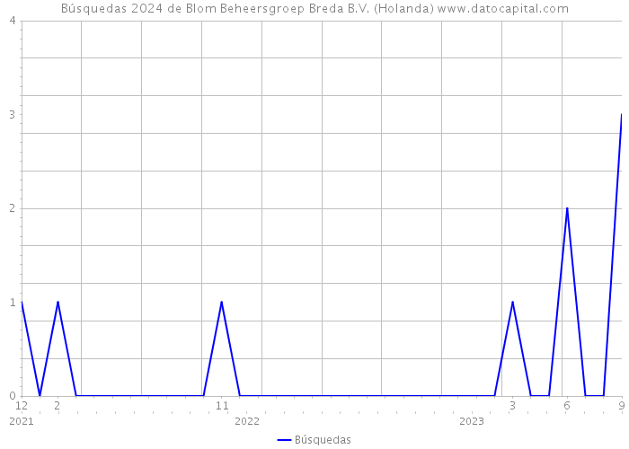 Búsquedas 2024 de Blom Beheersgroep Breda B.V. (Holanda) 