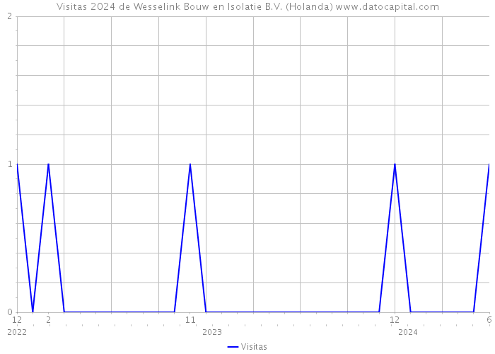 Visitas 2024 de Wesselink Bouw en Isolatie B.V. (Holanda) 