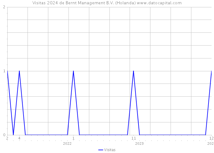 Visitas 2024 de Bernt Management B.V. (Holanda) 