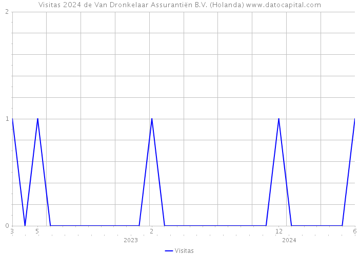 Visitas 2024 de Van Dronkelaar Assurantiën B.V. (Holanda) 