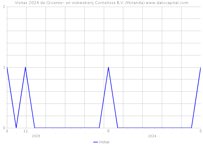 Visitas 2024 de Groente- en viskwekerij Cornelisse B.V. (Holanda) 