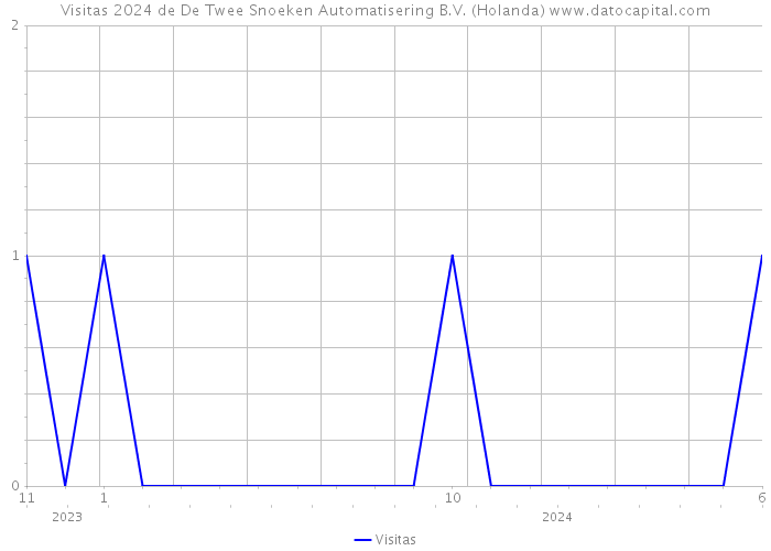 Visitas 2024 de De Twee Snoeken Automatisering B.V. (Holanda) 