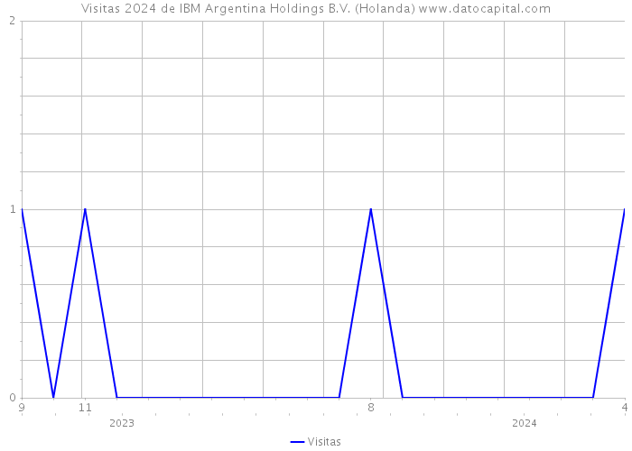Visitas 2024 de IBM Argentina Holdings B.V. (Holanda) 
