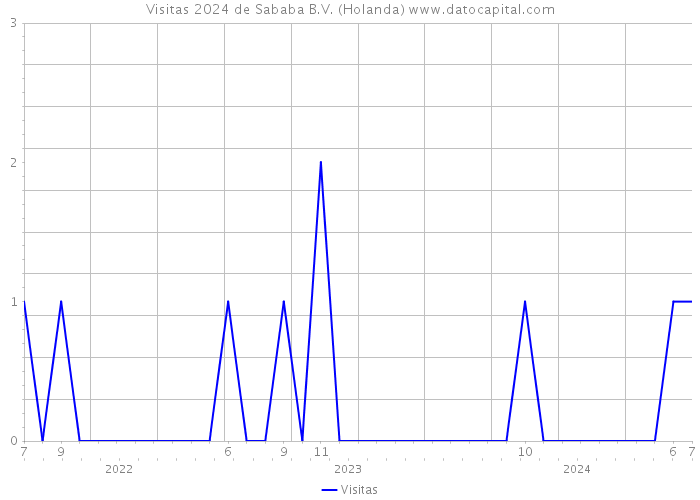 Visitas 2024 de Sababa B.V. (Holanda) 