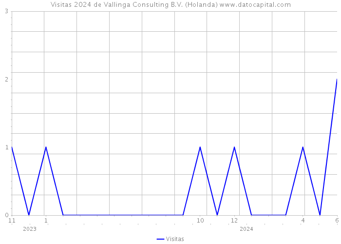 Visitas 2024 de Vallinga Consulting B.V. (Holanda) 