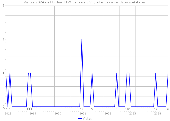 Visitas 2024 de Holding H.W. Beljaars B.V. (Holanda) 