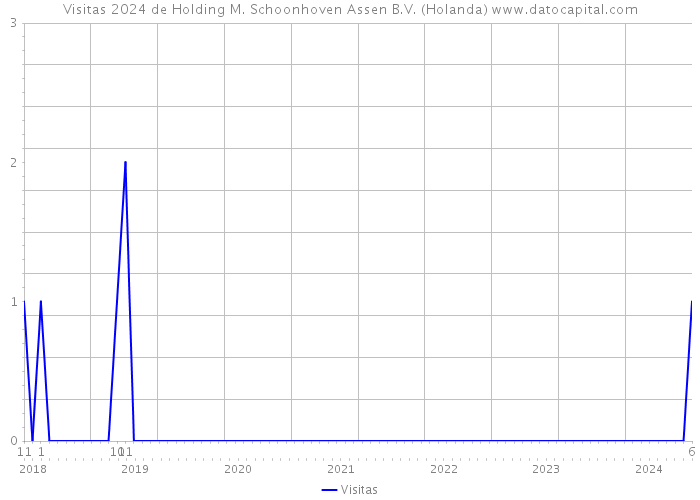 Visitas 2024 de Holding M. Schoonhoven Assen B.V. (Holanda) 