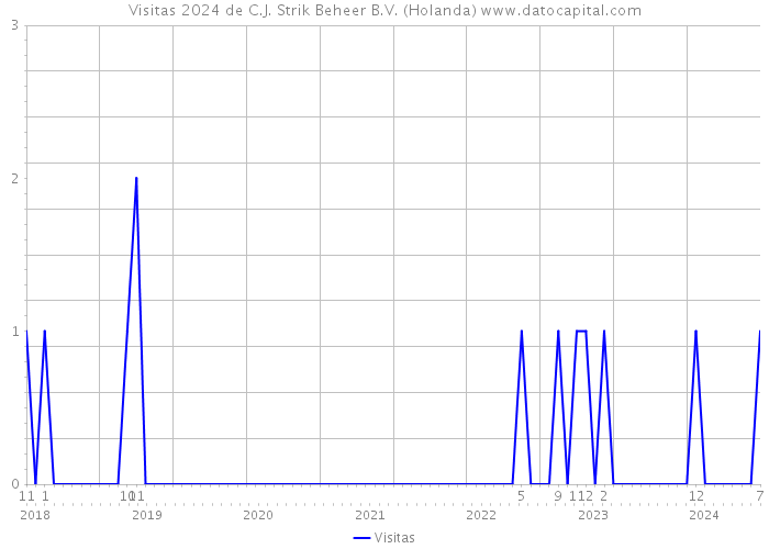 Visitas 2024 de C.J. Strik Beheer B.V. (Holanda) 