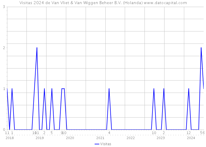 Visitas 2024 de Van Vliet & Van Wiggen Beheer B.V. (Holanda) 