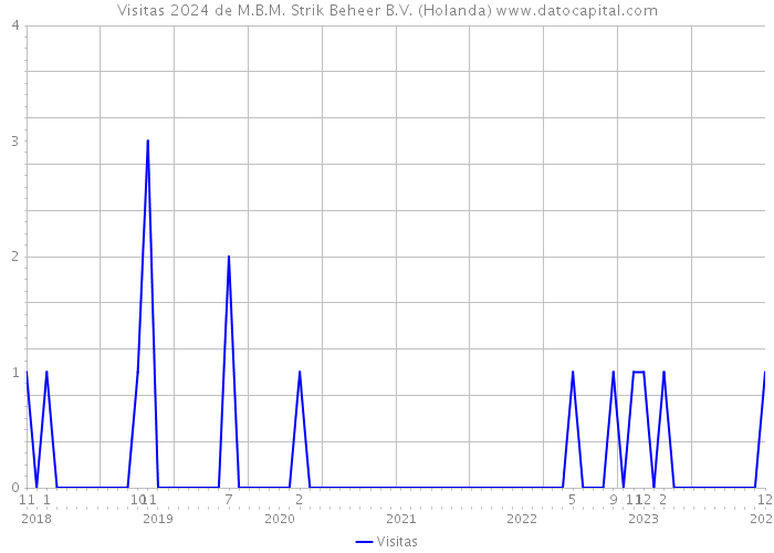 Visitas 2024 de M.B.M. Strik Beheer B.V. (Holanda) 