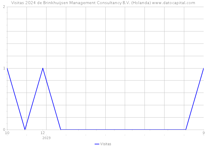 Visitas 2024 de Brinkhuijsen Management Consultancy B.V. (Holanda) 