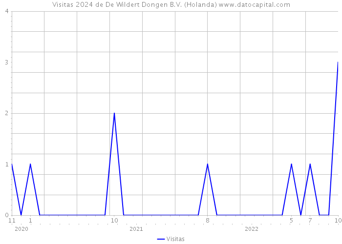 Visitas 2024 de De Wildert Dongen B.V. (Holanda) 