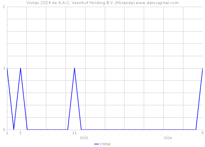 Visitas 2024 de A.A.C. Veenhof Holding B.V. (Holanda) 