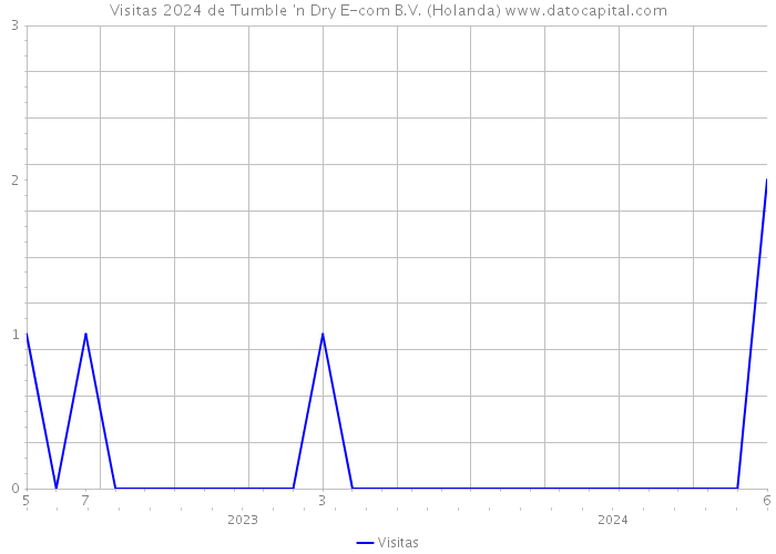 Visitas 2024 de Tumble 'n Dry E-com B.V. (Holanda) 