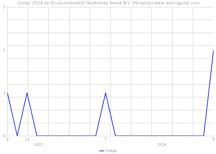 Visitas 2024 de Productiebedrijf Heelkunde Sneek B.V. (Holanda) 