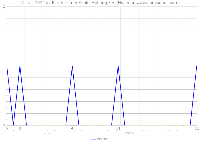 Visitas 2024 de Bernhard ten Brinke Holding B.V. (Holanda) 