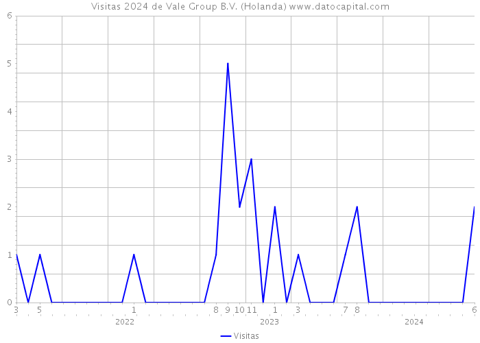 Visitas 2024 de Vale Group B.V. (Holanda) 