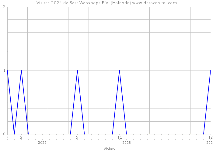 Visitas 2024 de Best Webshops B.V. (Holanda) 