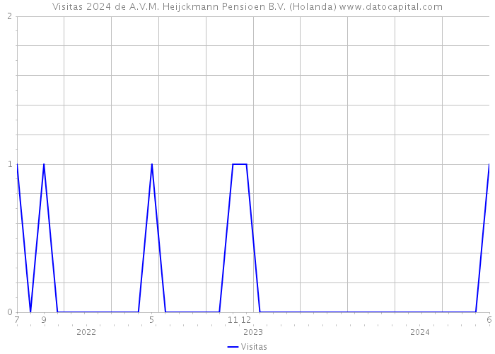 Visitas 2024 de A.V.M. Heijckmann Pensioen B.V. (Holanda) 