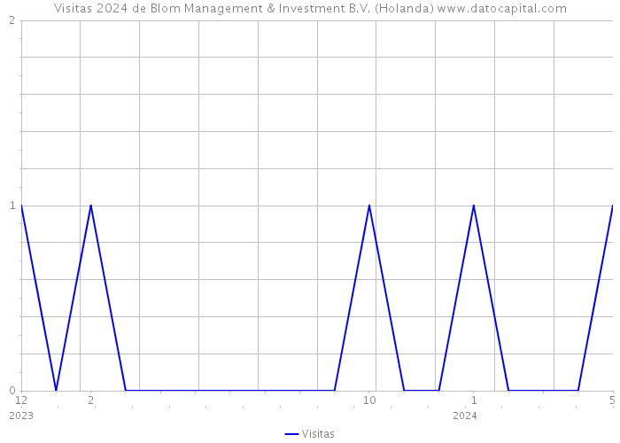 Visitas 2024 de Blom Management & Investment B.V. (Holanda) 