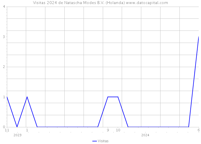 Visitas 2024 de Natascha Modes B.V. (Holanda) 