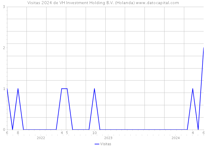 Visitas 2024 de VH Investment Holding B.V. (Holanda) 