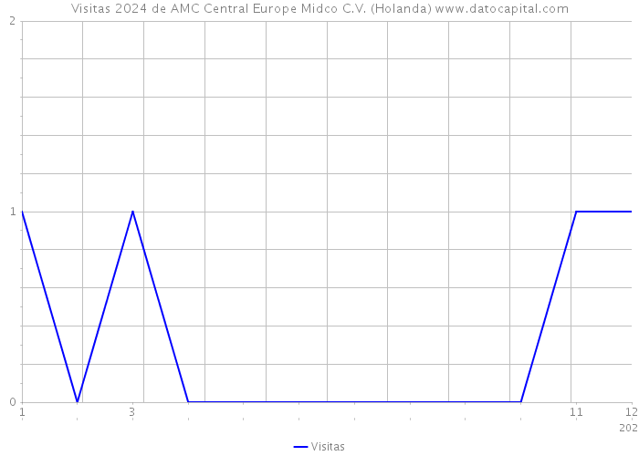 Visitas 2024 de AMC Central Europe Midco C.V. (Holanda) 