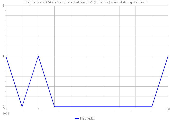 Búsquedas 2024 de Verwoerd Beheer B.V. (Holanda) 