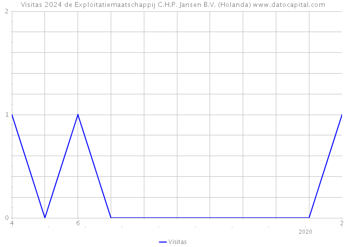 Visitas 2024 de Exploitatiemaatschappij C.H.P. Jansen B.V. (Holanda) 