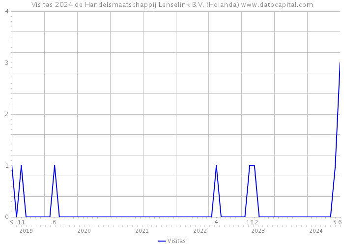 Visitas 2024 de Handelsmaatschappij Lenselink B.V. (Holanda) 