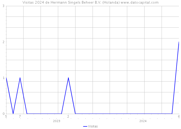 Visitas 2024 de Hermann Singels Beheer B.V. (Holanda) 